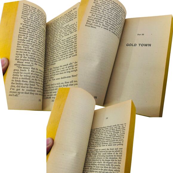 The Wilby Conspiracy by Peter Driscoll 1972 Popular Library - Picture 7 of 8